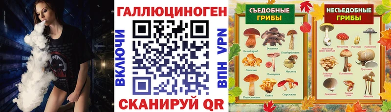 Псилоцибиновые грибы мицелий  Рубцовск 