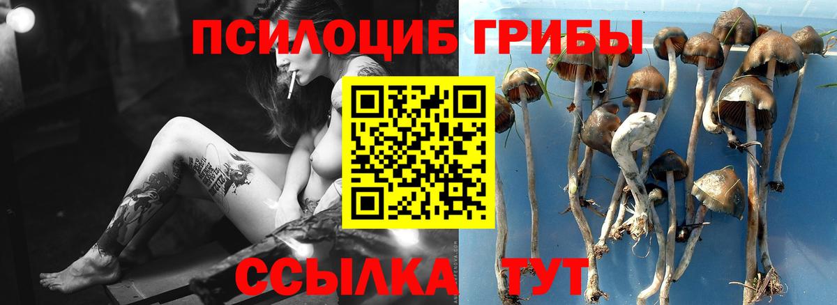 Галлюциногенные грибы Magic Shrooms Рубцовск